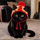 Handmade Crochet Cat Hat with Pom Pom - Granny Square Pet Hat