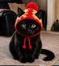 Handmade Crochet Cat Hat with Pom Pom - Granny Square Pet Hat