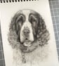 Custom Pencil Pet Portrait 6x8 in - Image 4