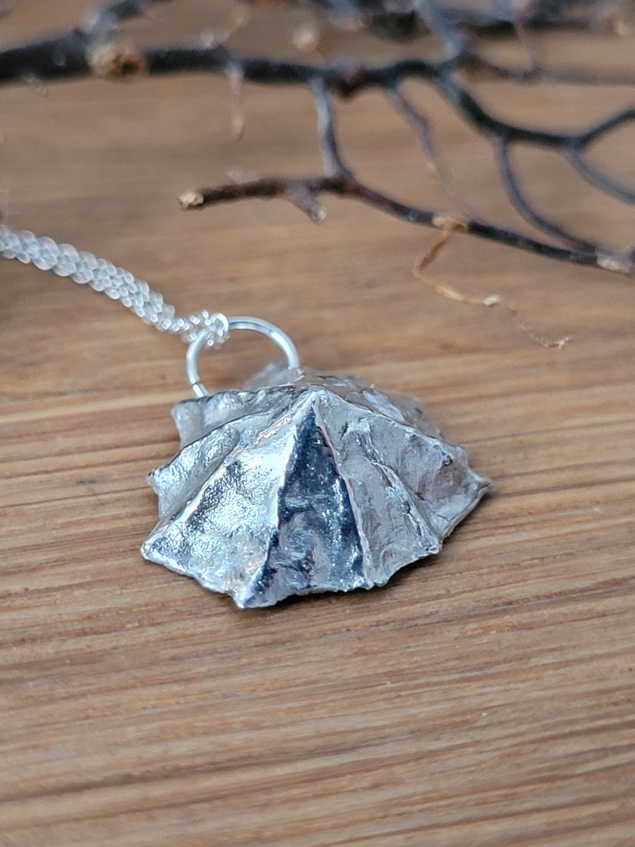 Silver Limpet Shell Necklace