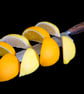 Oranges and lemons, quirky wall art print - Image 2
