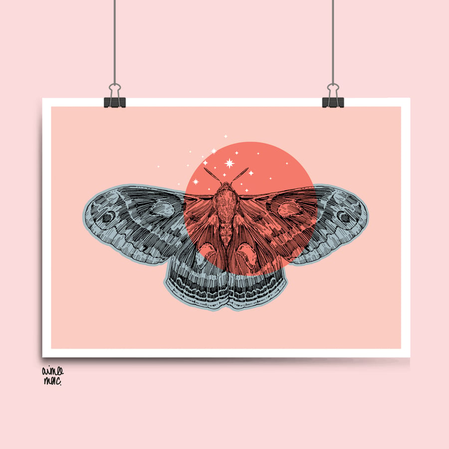 Pink and Cornflower Blue Colour Block Cecropia Moth Print - A3
