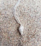 Whelk Necklace  - Image 7