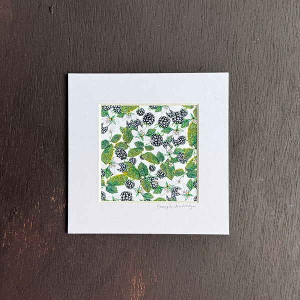 'Blackberries' 5" x 5" Mounted Print