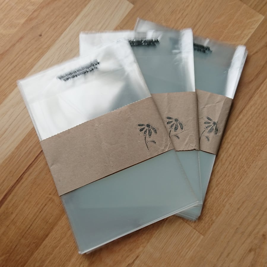 Compostable display bags for cards etc, 120 x 162 mm, pack of 25