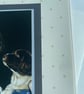 English Springer spaniel family time to celebrate card - Image 6