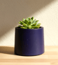 Small Deep Violet Plant Pot - 7.5 cm Vibrant Indigo Mini Succulent Pot - Image 1