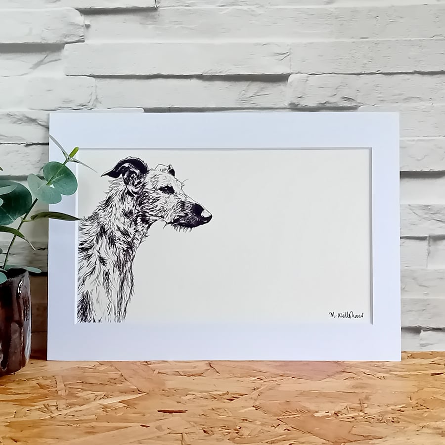 Lurcher Dog Print - rough coat wire haired fine art wall art A4 sighthound