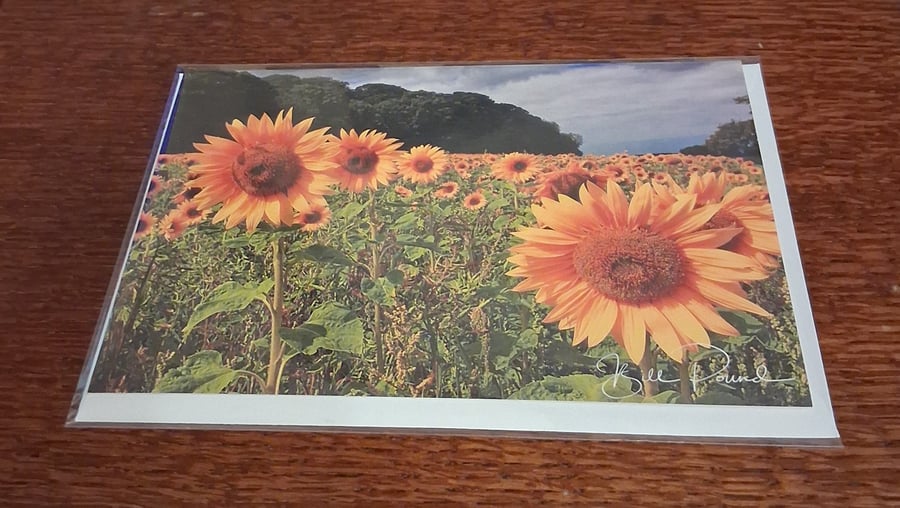 Pack of 8 cards windmills and flowers blank greeting cards