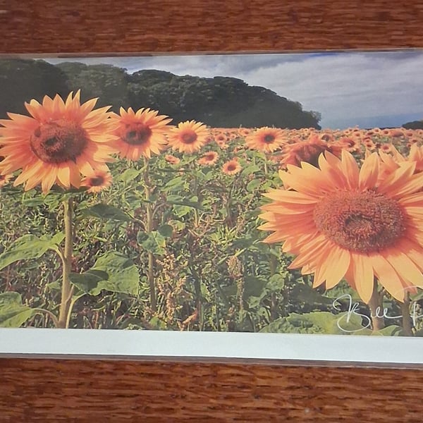 Pack of 8 cards windmills and flowers blank greeting cards