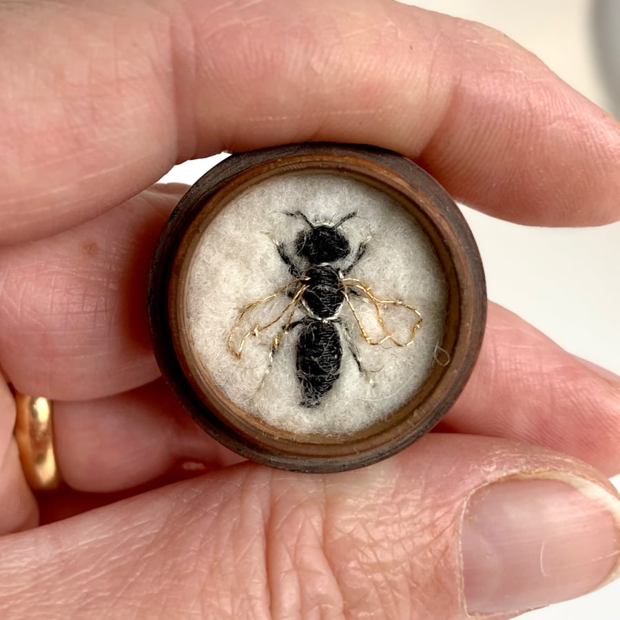 107b - Andrena falsifica or Male Thick-margined Mini-miner - bee art