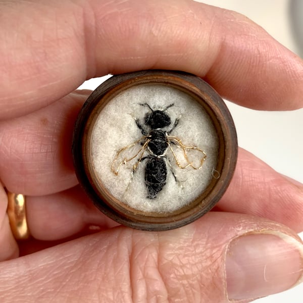 107b - Andrena falsifica or Male Thick-margined Mini-miner - bee art