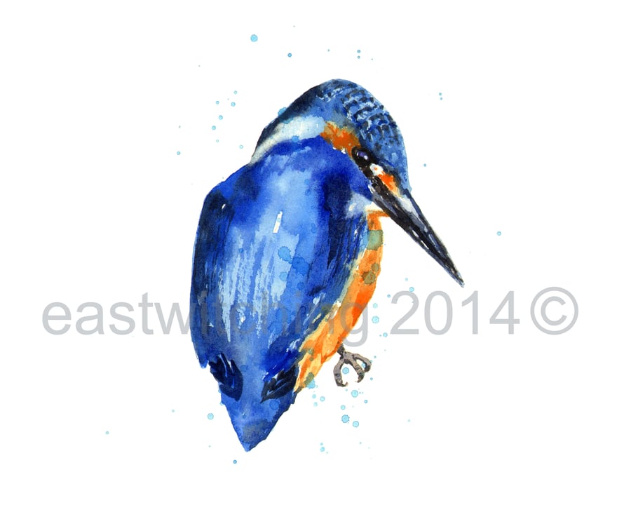Watercolour KINGFISHER  print