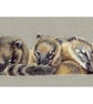 Coati Cuddle Fine Art Print - Image 3
