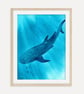 Whale Shark Art Print, Ocean Wall Art, Marine Life Artwork, Underwater Sea Life