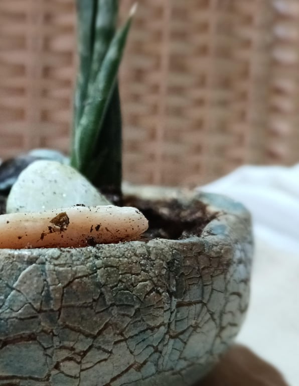 Handmade Ceramic Succulent Planter Rustic Pottery Bowl Indoor or Outdoor
