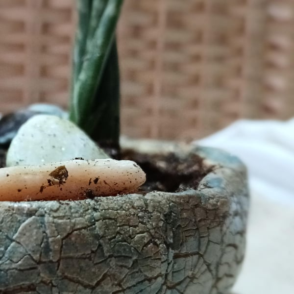 Handmade Ceramic Succulent Planter Rustic Pottery Bowl Indoor or Outdoor