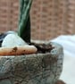 Handmade Ceramic Succulent Planter Rustic Pottery Bowl Indoor or Outdoor