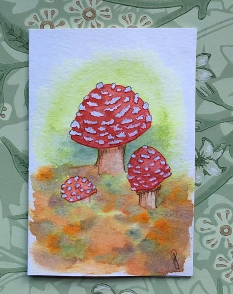 Seconds Sunday - Hand painted card toadstools 