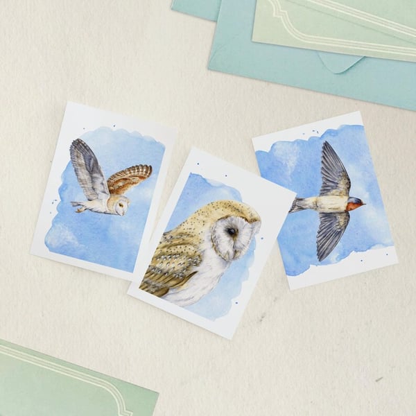 Bird greetings cards, 3 pack, A6 size blank notelets, barn owls and swallow