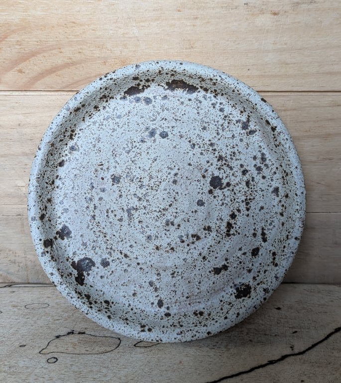 Very speckly olive or trinket dish