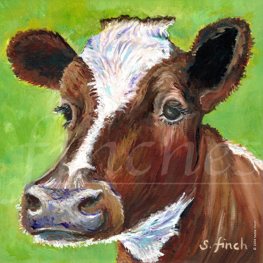 Spirit of Cow - Limited Edition Giclée Print (Ayrshire Cow)
