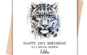 Animal Cards