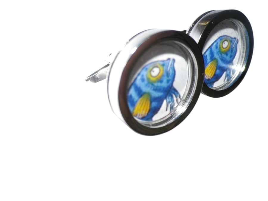 Bluefish cufflinks, presentation box, gift wrapped, free shipping Ref 8213 