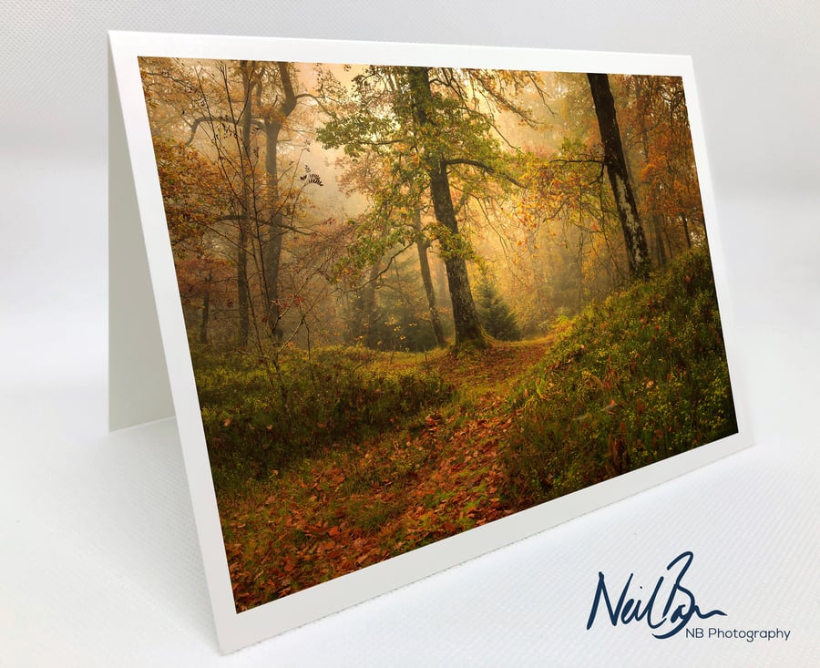 Trossachs Autumnal Woods - Scotland Greeting Card by Neil Barr