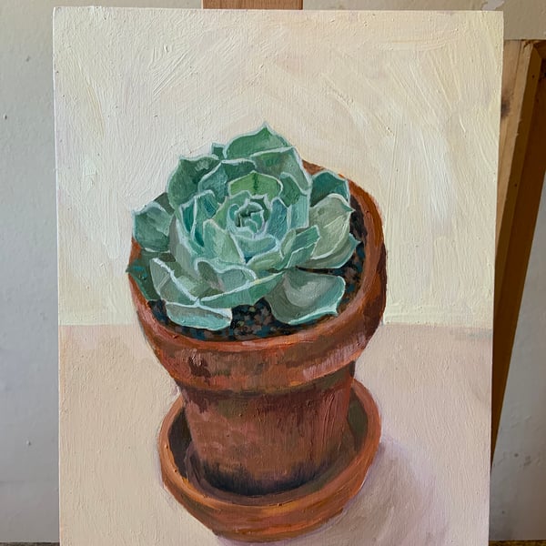 Echivera succulent painting in oils