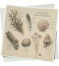 Coastal Discoveries Handmade Greeting Card – Beach Finds Card. Seaside Nature - Image 2