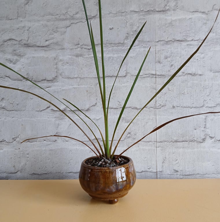 Handmade Stoneware Planter Wheel Thrown Wabi Sabi Ceramic Pot (10cm)