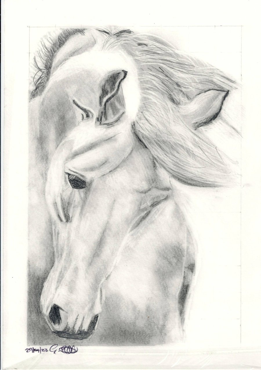 Graphte drawing of a horse head 3