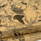 British Birds Eco Wrapping Paper