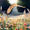 The Wildflower Owl Limited Edition Gicée Fine Art Print
