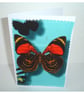 Butterfly Cards Blank Greetings Notelets x 3 Pack Butterflies - Image 3