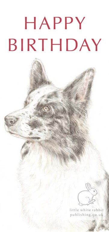 Nixi the Border Collie -  Birthday Card
