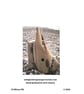 Rhino; greetings card, blank inside and printed on card and photographic paper - Image 2