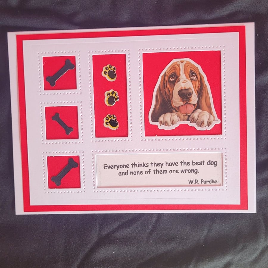 Dogs blank greetings card, basset hound, windows