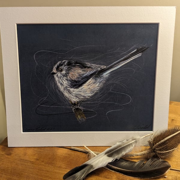 Long Tailed Tit, a mounted and signed print of an original drawing
