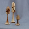 Trio of Fungi in English Woods