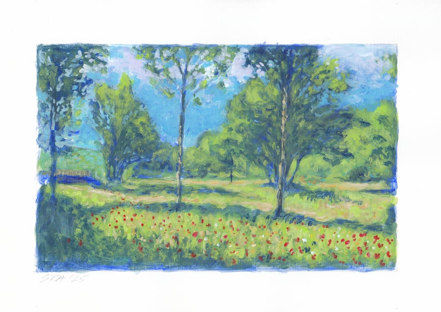 The Nature Reserve, Lynton, North Devon