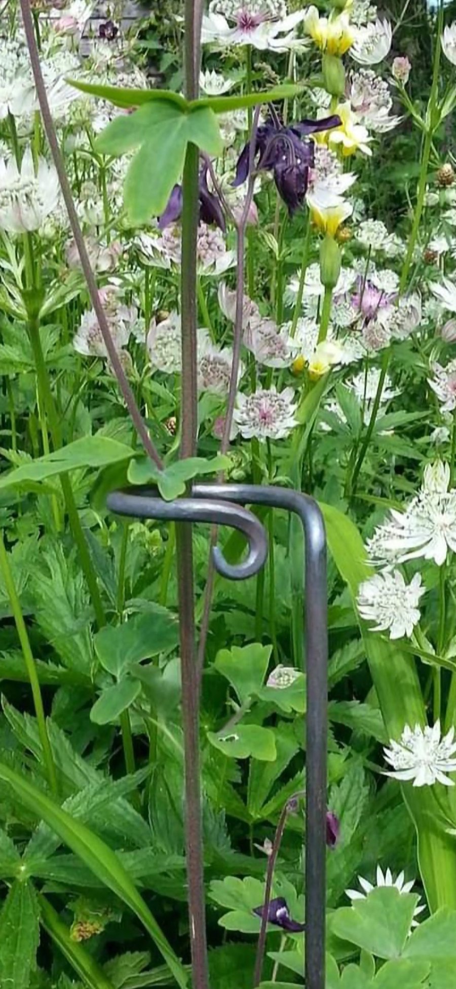 Hand Forged Plant Supports Blacksmith Made 