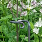 Hand Forged Plant Supports Blacksmith Made 