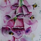 Foxgloves and a Bee watercolour painting tutorial 