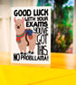 Funny Good Luck Exam Card, Cute Llama GCSEs, A Levels, Degree Support Card - Image 5