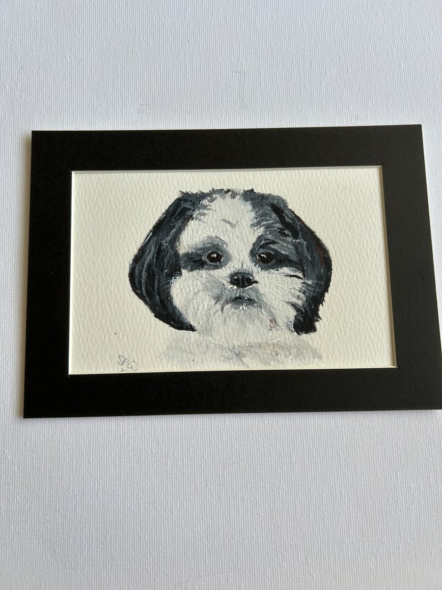 Original portrait painting of a Shih Tzu dog 5x7" pet portrait