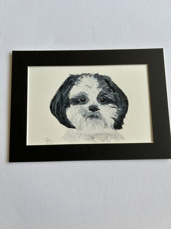 Original portrait painting of a Shih Tzu dog 5x7" pet portrait