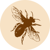 Honey for tea
