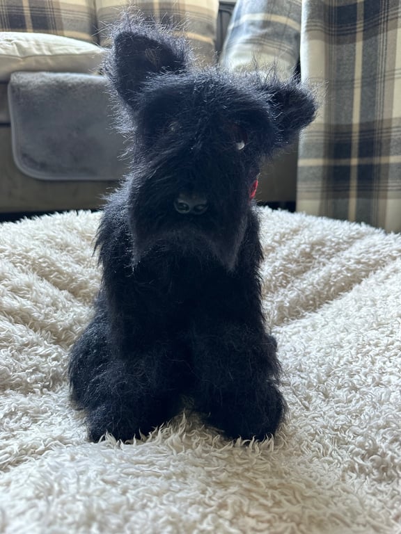 Scottish Terrier pup
